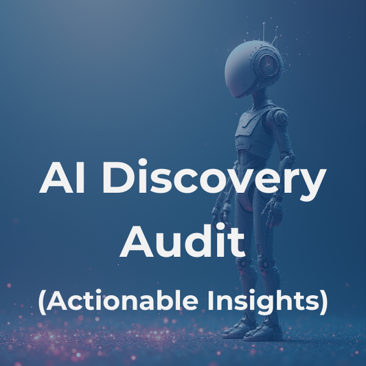 AI Discovery Audit