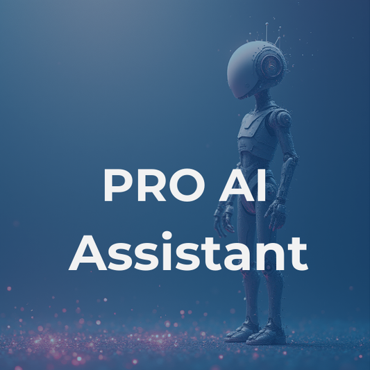PRO AI Assistant (Build + Maintenance)