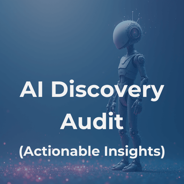 AI Discovery Audit